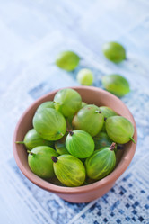 Similar image 7683795