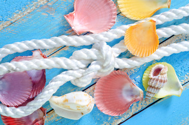 Similar image 7684006