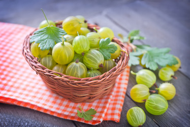 Similar image 7684207