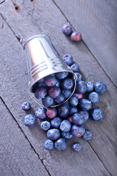 Similar image 7684210