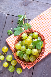 Similar image 7684220