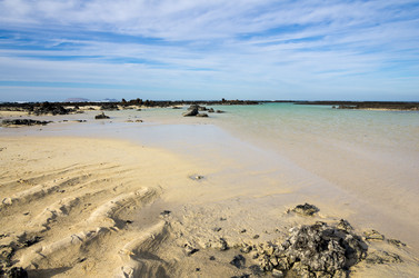 Similar image 7684378