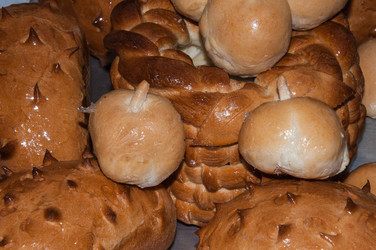 Similar image 7684404