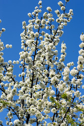 Similar image 7684419