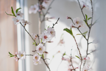 Similar image 7684421