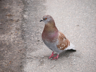 Similar image 7684435