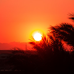 Similar image 7684480