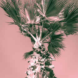 Similar image 7684481