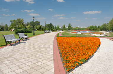 Similar image 7684500