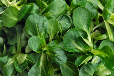 Similar image 7684502