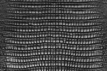 Similar image 7684508