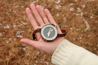 Similar image 7684518