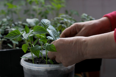 Similar image 7684532