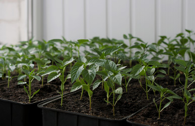 Similar image 7684533