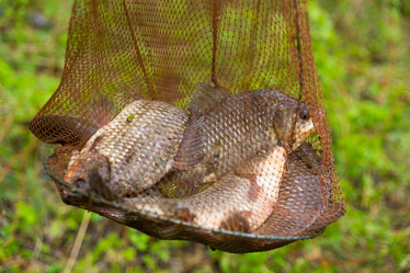 Similar image 7684583