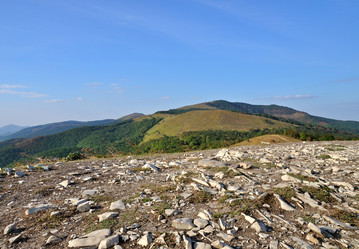 Similar image 7684628