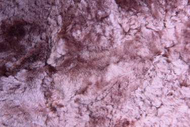 Similar image 7684637