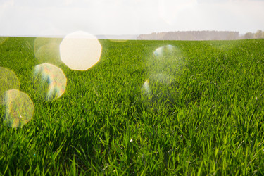 Similar image 7684663