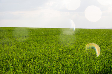 Similar image 7684664