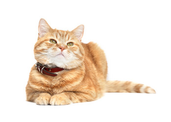 Similar image 7684721