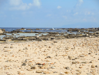 Similar image 7684763