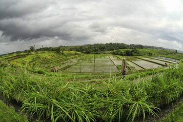 Similar image 7684766