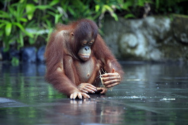 Similar image 7684768