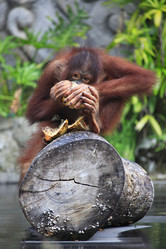 Similar image 7684769