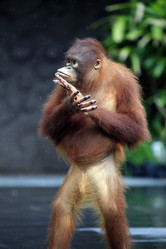 Similar image 7684773