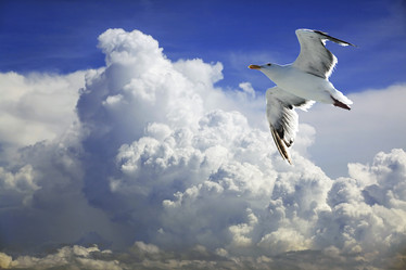 Similar image 7684775