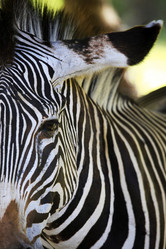 Similar image 7684778