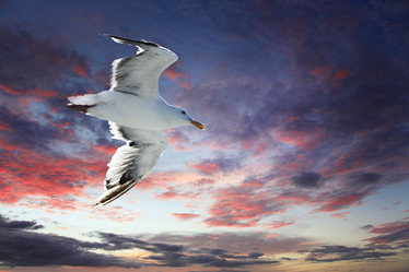 Similar image 7684779