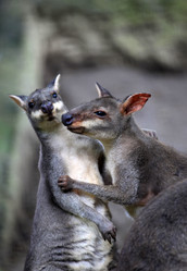 Similar image 7684791