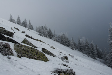 Similar image 7684887