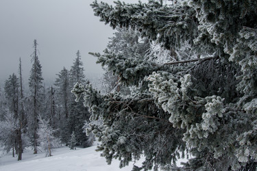 Similar image 7684905