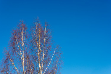 Similar image 7684977