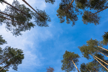 Similar image 7684978