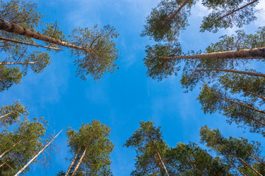 Similar image 7684979