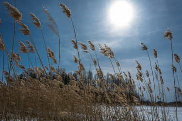 Similar image 7684981