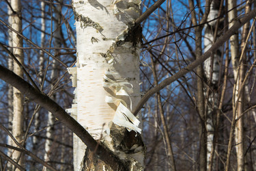 Similar image 7684986