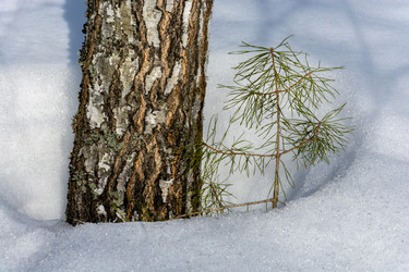 Similar image 7684990