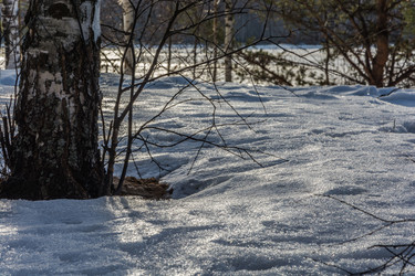 Similar image 7684992