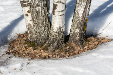 Similar image 7684999