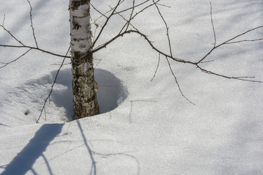 Similar image 7685000