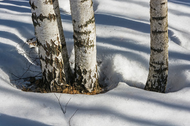 Similar image 7685004