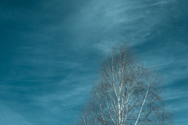 Similar image 7685005