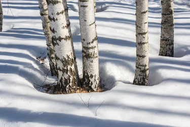 Similar image 7685007