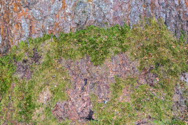 Similar image 7685011