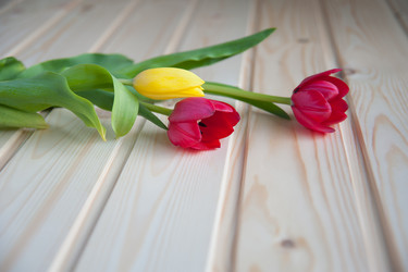 Similar image 7685048