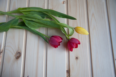 Similar image 7685050